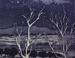 Night Sky Mia Mia 2 (33 x 25 cm)